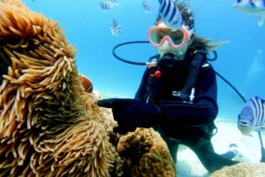 体験ダイビング