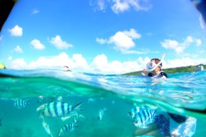 クマノミシュノーケル