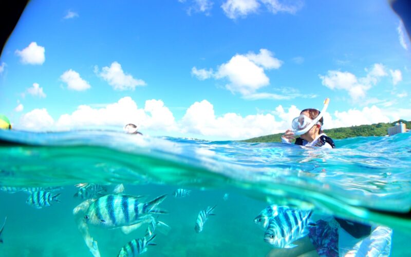 クマノミシュノーケルツアー クマノミシュノーケル