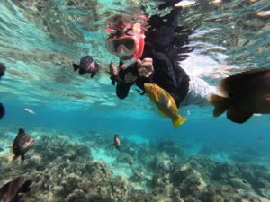 サンゴ礁シュノーケル