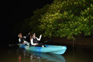 ナイトジャングルカヤック