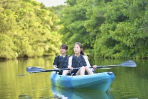 マングローブカヤック