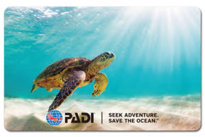 PADI スペシャリティー