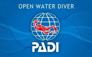 ダイビング　Cカード