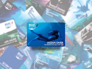 BSAC ダイビングライセンス