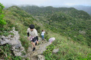 ジャングルハイキング