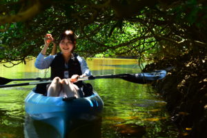 マングローブカヤック