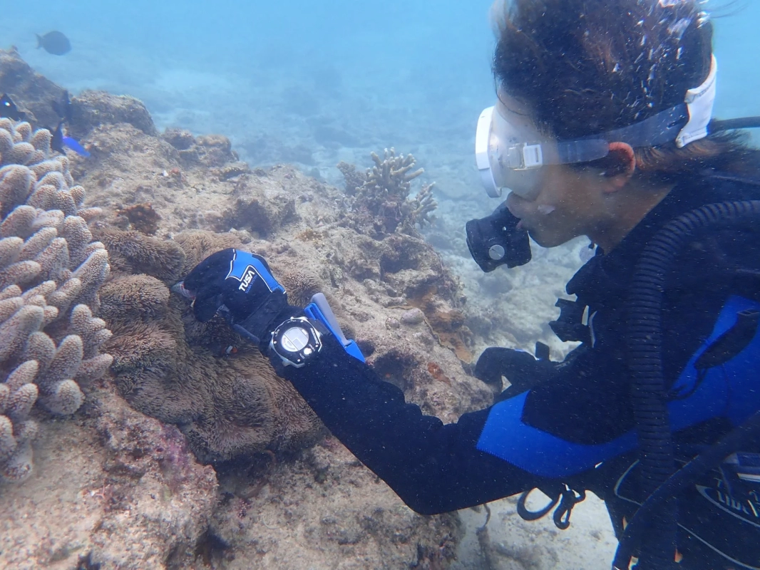 サンゴ礁の海中をダイビングする人物の様子
